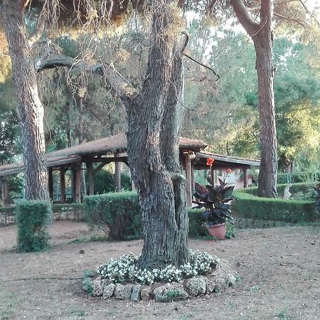 Roma - Quarto Del Cuore Villa Buitenkant foto